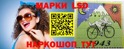 крисы Лесной