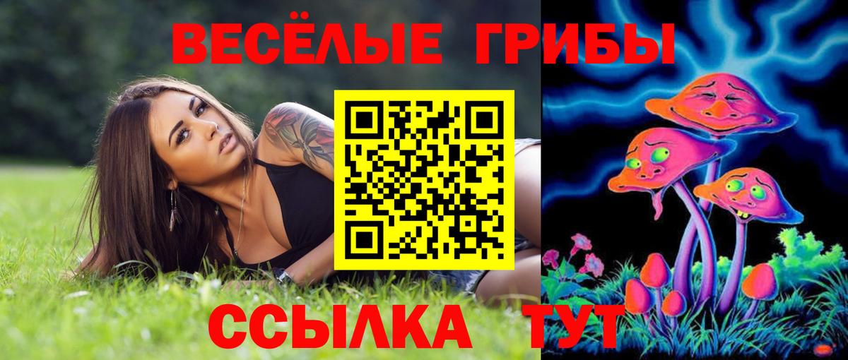 Галлюциногенные грибы Cubensis  Вход с VPN  Кыштым 